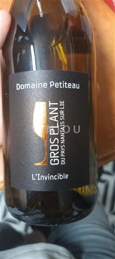 Loiredalen Gros-plant-du-pays-nantais Domaine Petiteau L'Invincible 2024