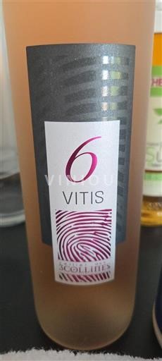 Languedoc-Roussillon Côtes de Thongue 6 Vitis 2024