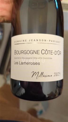 Burgundy Burgundy Côte d'Or Domaine Jeanson-Parigot Les Lameroses 2023