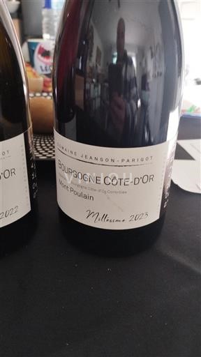 Bourgogne Bourgogne Côte d'Or Domaine Jeanson-Parigot Mont Poulain 2023
