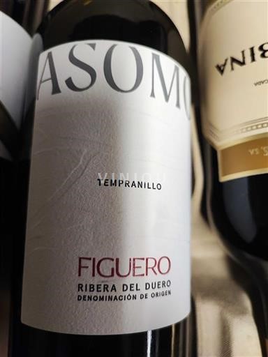 Castilien og León Ribera del Duero Figuero Asom 2022