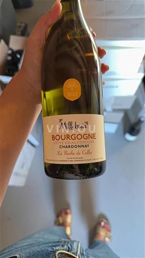 Burgundy Burgundy Côte Chalonnaise Millebuis La Roche de Cules 2022