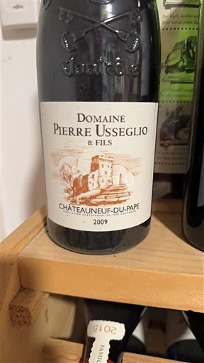 Vale do Ródano Châteauneuf-du-Pape Domaine Pierre Usseglio & Fils 2009