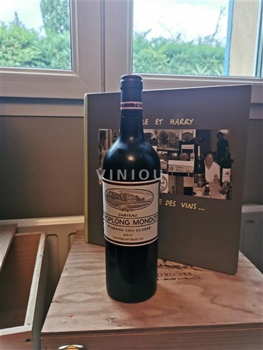 Bordeaux Saint-Émilion Château Troplong Mondot (offert Lolo) 2017