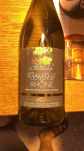 Rhône-dalen Côtes-du-Rhône Les Vignerons de Tavel & Lirac Acantalys 2024