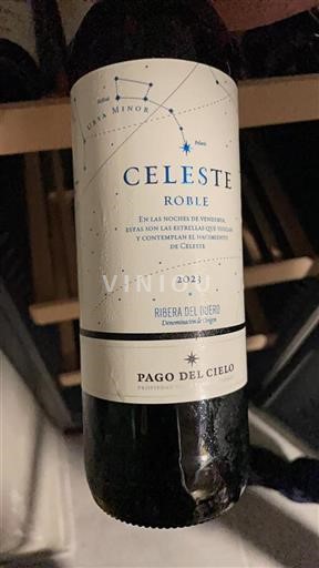 Castilien og León Ribera del Duero Pago del Cielo Celeste Roble 2023