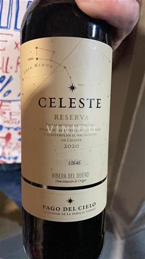Castilien og León Ribera del Duero Pago del Cielo Celeste 2020