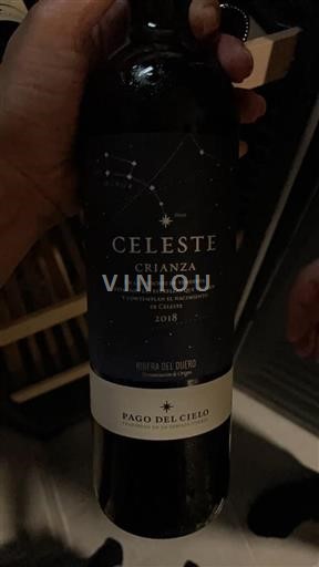Castilien og León Ribera del Duero Pago del Cielo Celeste Crianza 2018