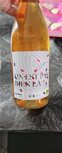 Zuidwest-Frankrijk Niet gespecificeerd Domaine Barbe Niet-geïntegreerd