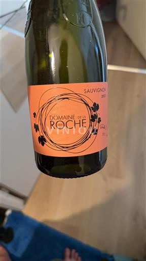 Dolina Loare Touraine Domaine La Roche 2023