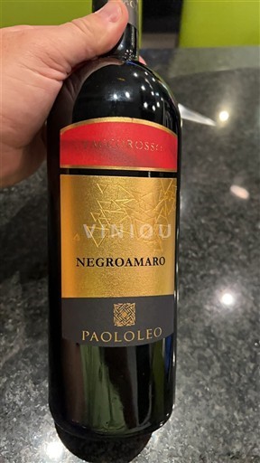 Puglia Susumaniello Salento Paololeo Negroamaro 2017
