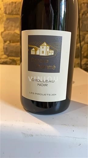 Valle del Loira No especificado Domaine Hommé Les Pirouets 2024