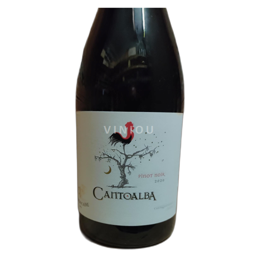 Valle di Colchagua Non specificato Cantoalba Pinot Noir 2020