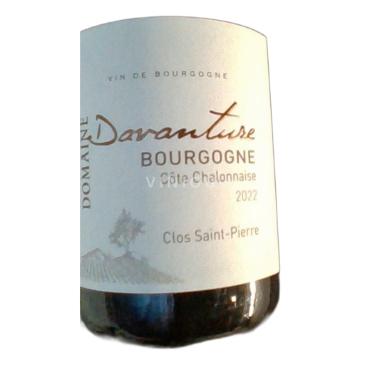 Borgogna Non specificato Grand Cru Domaine Davanture CLOS ST PIERRE 2022