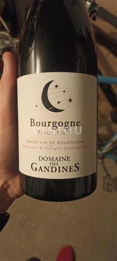 Bourgogne Domaine Des Gandines Non Millésimé