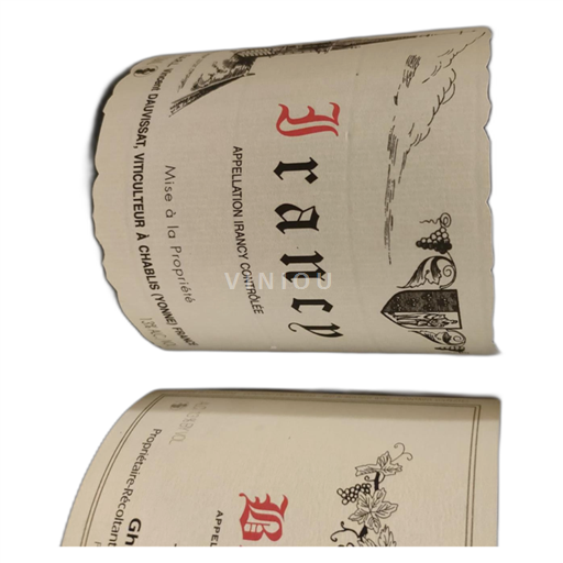 Bourgogne Irancy Vincent Dauvissat 2022