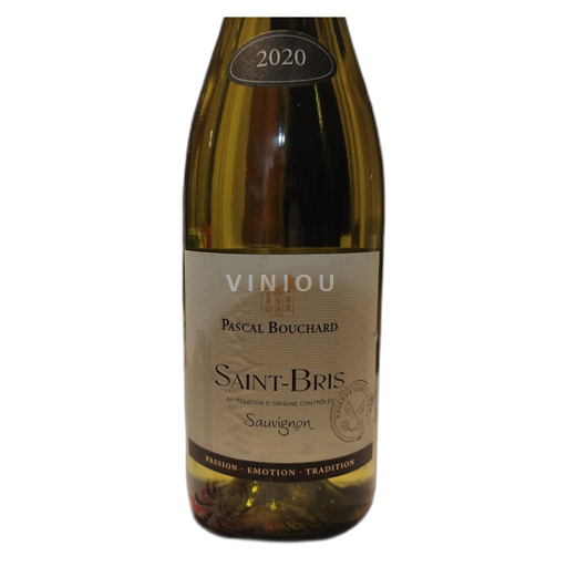 Burgund Saint-Bris Pascal Bouchard Sauvignon Ohne Jahrgang