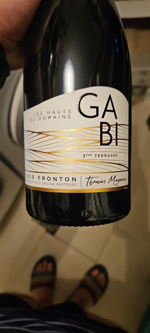 Sudoeste Fronton Domaine Les Hauts du Gabi 2019