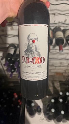 Languedoc a Roussillon Côtes de Thau Domaine Gaujal de Saint Bon Rigolo 2018