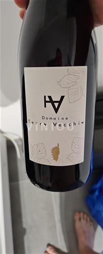 Languedoc và Roussillon Thung lũng Cesse Domaine Terra Vecchia 2024