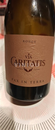 Valle del Ródano Ventoux Via Caritatis Pax in Terra 2023