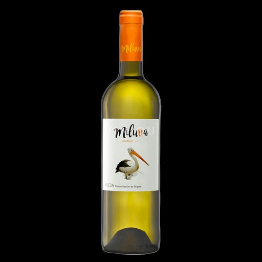 Vine Blanc sec Valdecuevas 2024 Spanien Castilien og León Rueda DO