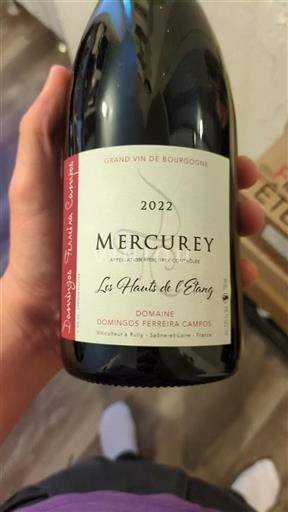 Burgundsko Mercurey Domaine Domingos Ferreira Campos Les Hauts de l'Étang 2022
