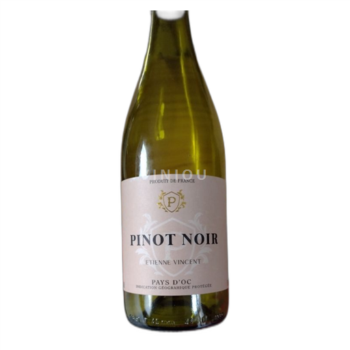 Languedoc a Roussillon Pays d'Oc Étienne Vincent Pinot noir 2022