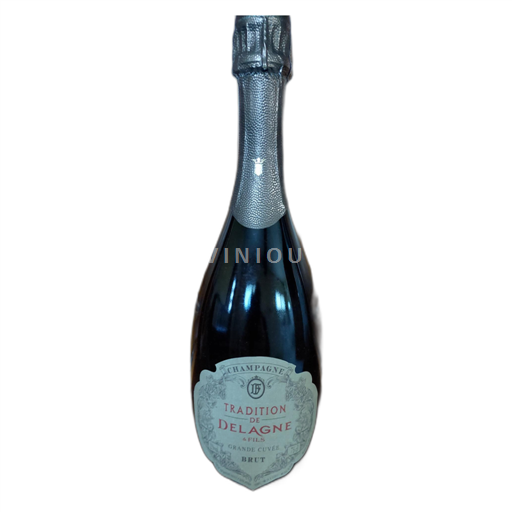 Champagne Ikke specificeret Delagne & Fils Grande 2018