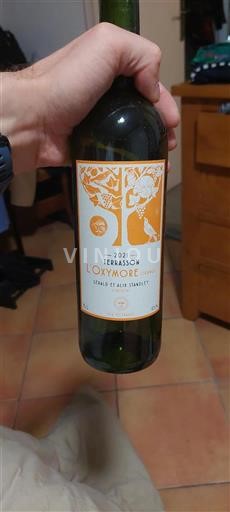 Rhônevallei Côtes-du-rhône L'OxyMORE Terrasson 2021