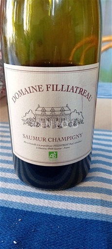 Vallée de la Loire Saumur-champigny Domaine Filliatreau Non Millésimé