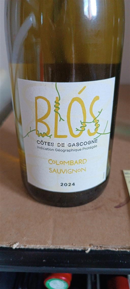 South West Côtes de Gascogne Les Chais de la Grange 2024