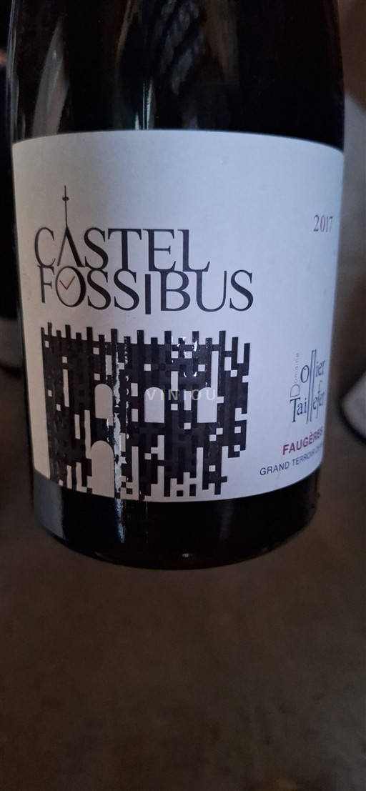 Linguadoca Faugères Domaine Ollier Taillefer Castel Fossibus 2017