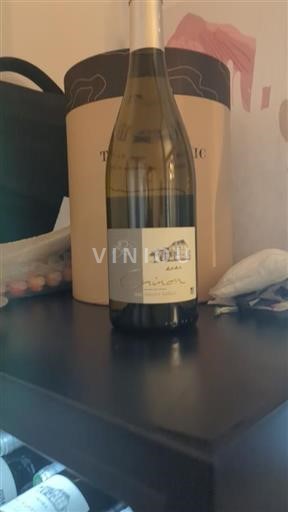 Thung lũng sông Loire Chinon Jean-Maurice Raffault 2024