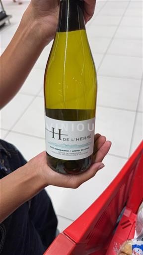 South West Côtes de Gascogne H de L'Herré Non-Vintage