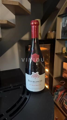 Burgundy En Montre Cul 2022