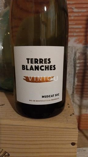 Thung lũng sông Loire Không được chỉ định Terres Blanches 2024