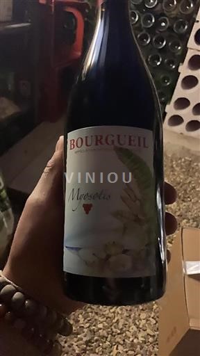 Thung lũng sông Loire Bourgueil Nathalie et David Drussé 2015