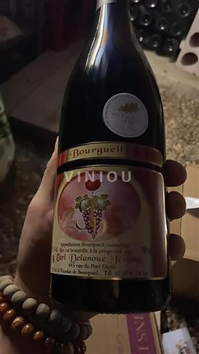 Loiren laakso Bourgueil Carl Delanoue 2024