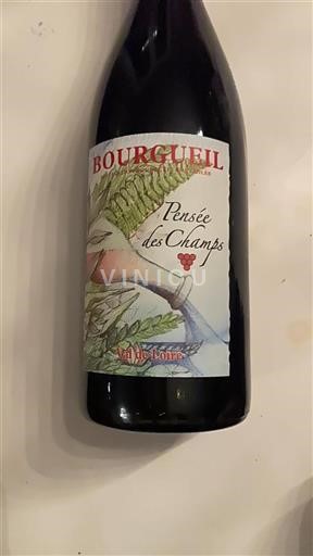 Loiren laakso Bourgueil Pensée des Champs Ei vuosikertaa