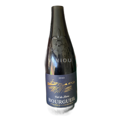 Valle del Loira Bourgueil Montreuil bellay 2023