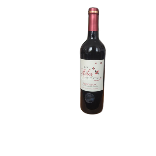 Tây Nam Bergerac Les Ailes des 4 Vents 2022