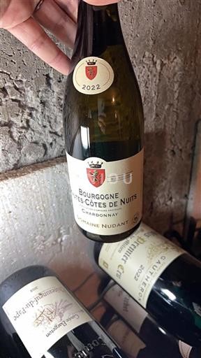 Borgoña Hautes Côtes de Nuits Domaine Nudant 2022