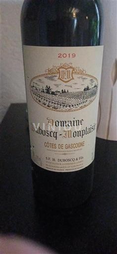 Tây Nam Côtes de Gascogne Domaine Duboscq-Monplaisir 2019