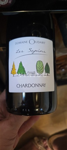 Loire Valley Domaine Oudart Les Sapins 2023