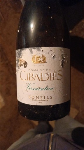 Languedoc và Roussillon Vùng đất Oc Domaine Cibadiès Vermentino 2020