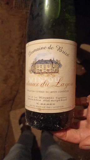 Loiredalen Coteaux-du-Layon Domaine Brizé 2018
