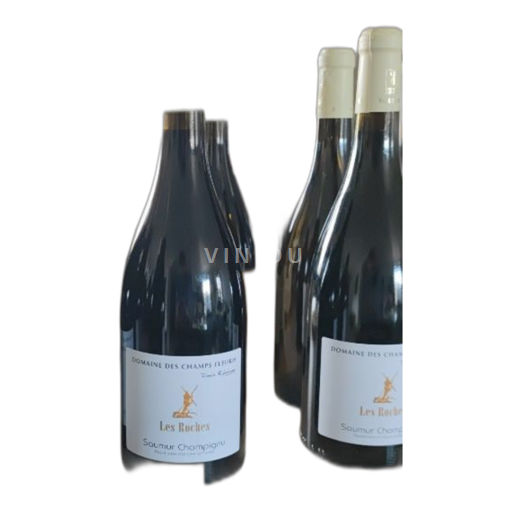 Loire-dalen Saumur-Champigny Domaine Des Champs Fleuris Les Roches 2017