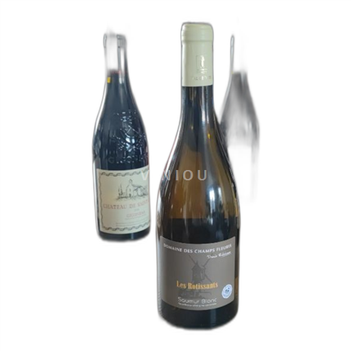 Loire-dalen Saumur Domaine Des Champs Fleuris Les Rotissants 2022