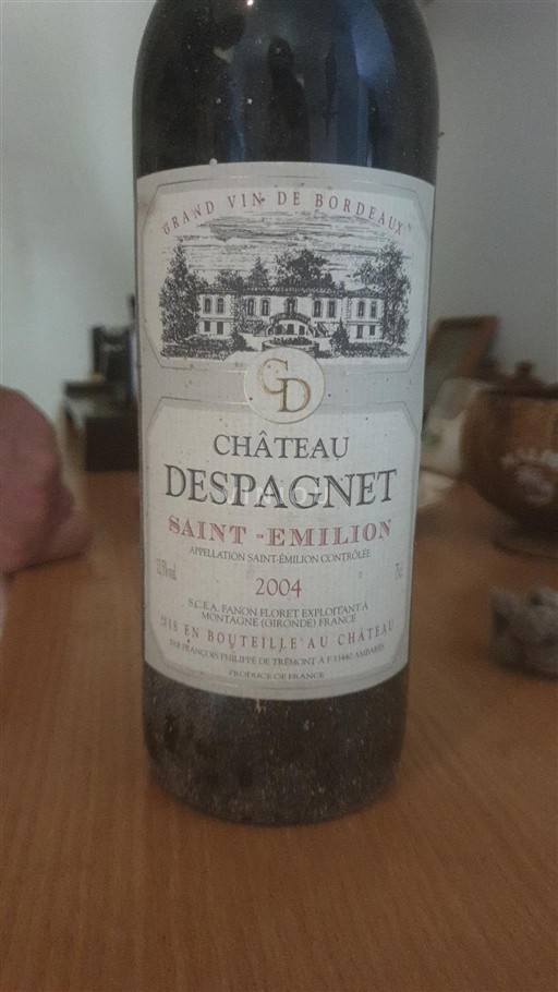 Bordéus Saint-Émilion Château Despagnet 2004